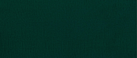 Диван-кровать Selena Зеленый Monolith 37 тёмные ножки